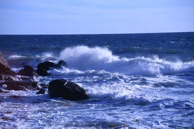 DSC_0581 (Large).JPG